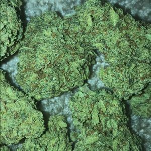 Meet your Posher, Yah